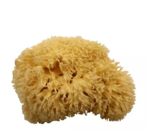 اسفنج پتینه طبیعی(دریایی) ماکو